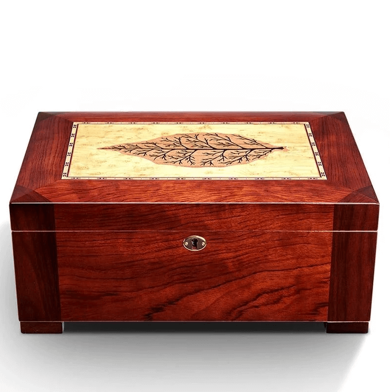 Luxury Cedar Cigar Humidor Box - 100 Capacity