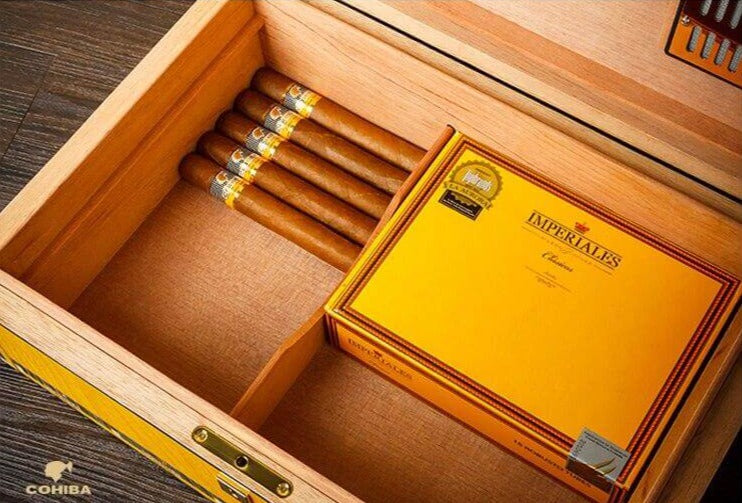 Luxury Cigar Humidor with Advanced Humidifier